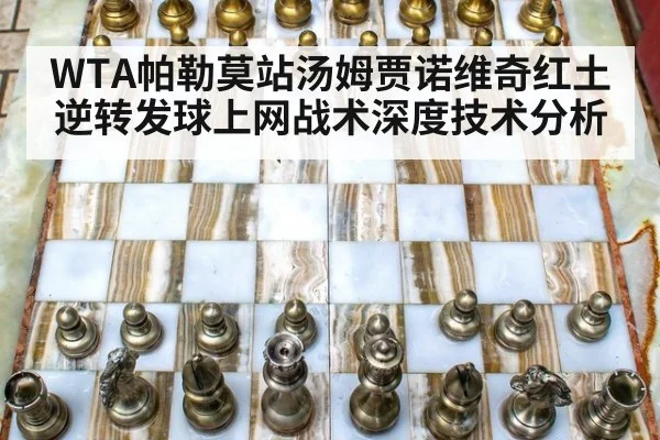 WTA帕勒莫站汤姆贾诺维奇红土逆转发球上网战术深度技术分析